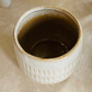 Beige Cover Ceramic Indoor Plant Pot