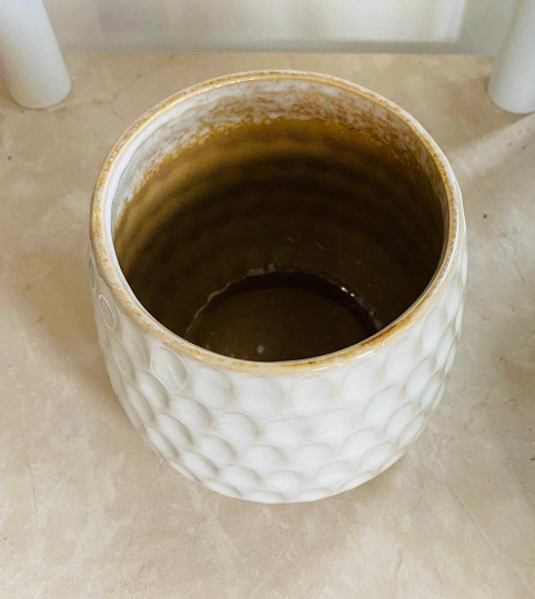 Beige Cover Ceramic Indoor Plant Pot