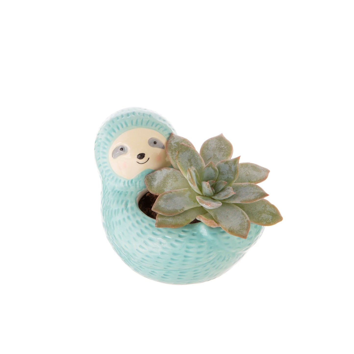 Seymour Sloth Planter