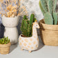 Gina Giraffe Planter