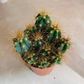 Blue Torch Cactus Pilosocereus Azureus Cassandra's Plants