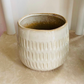 Beige Cover Ceramic Indoor Plant Pot