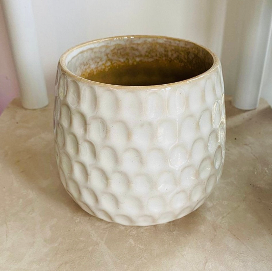 Beige Cover Ceramic Indoor Plant Pot