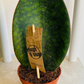 Sansevieria Masoniana Victoria Whales Fin Cassandra's Plants