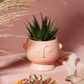 Pink Face Planter