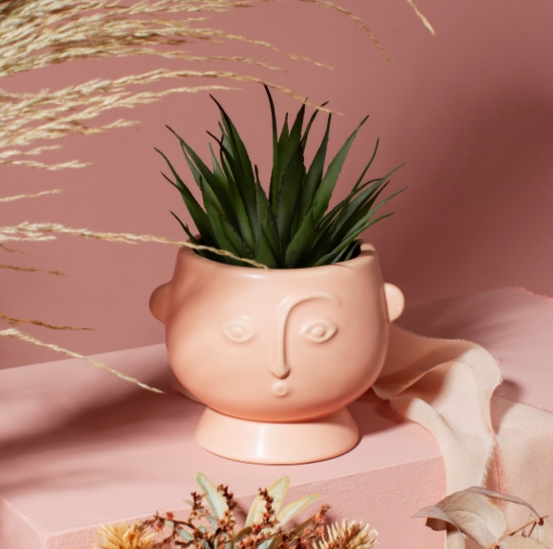 Pink Face Planter