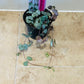 Ceropegia Woodii String Of Hearts 8cm Pot Cassandra's Plants