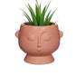 Pink Face Planter