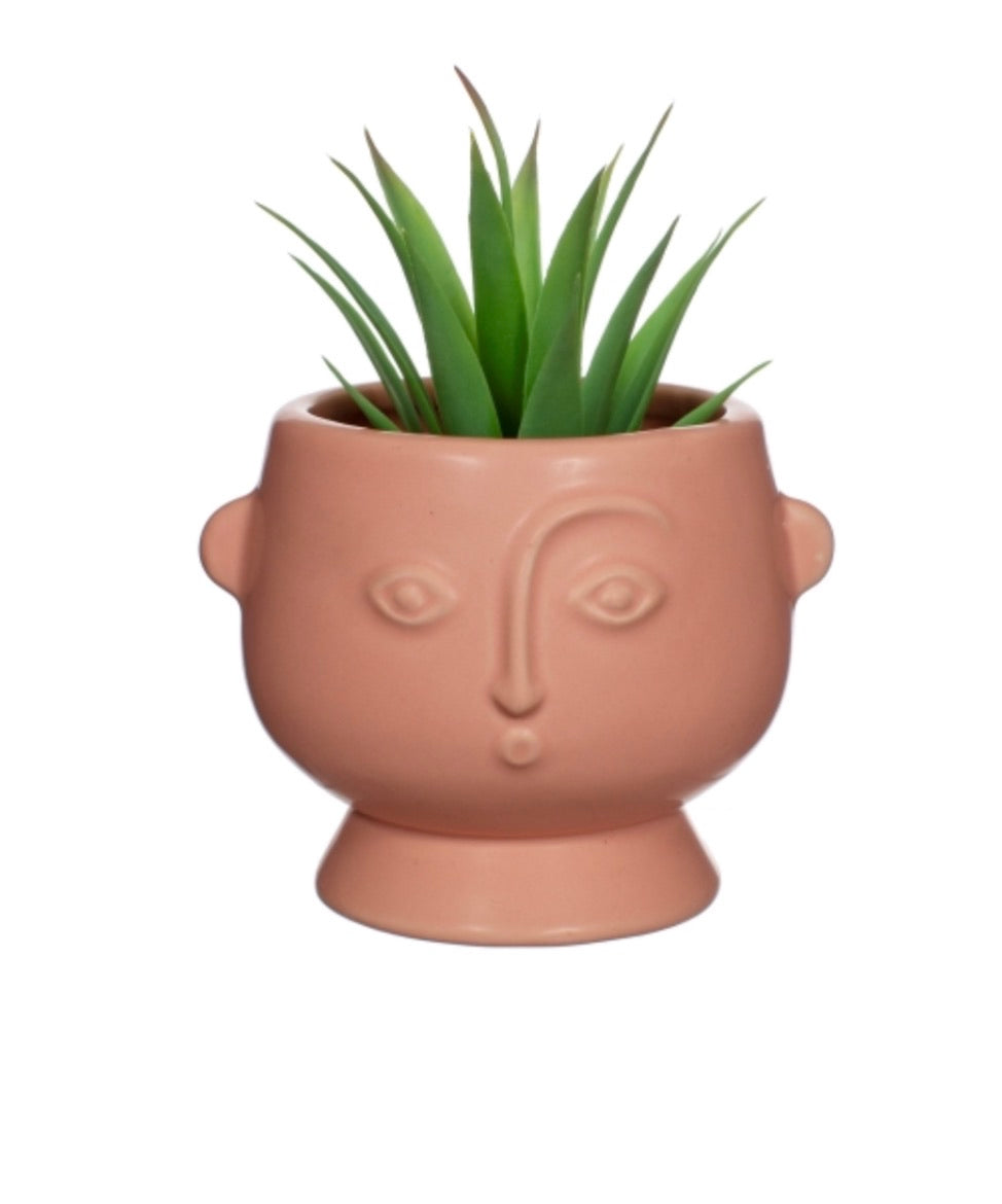 Pink Face Planter