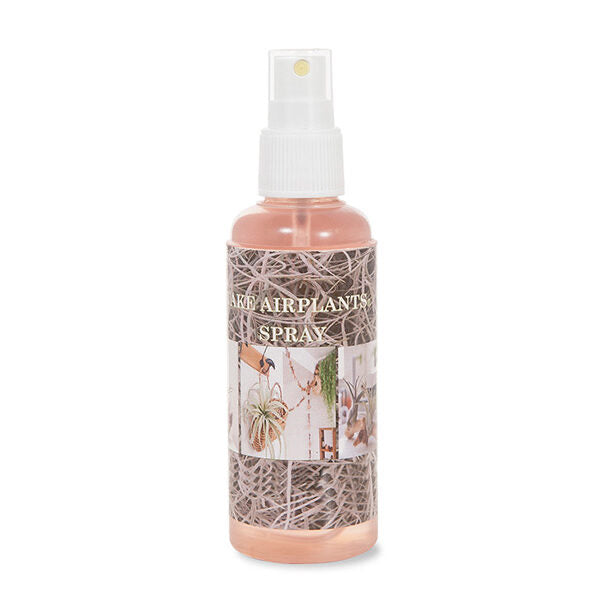 Air Plant Complete Mist Spray Cassandra's Plants