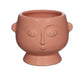 Pink Face Planter