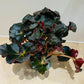 Begonia Erythrophylla Black Jungle 13cm Pot Cassandra;s Plants