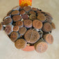 Lithops Hookeri Cassandra's Plants